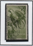 Stamps : Europe : Spain :  Psittacus erithacus