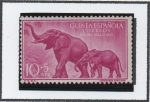 Stamps : Europe : Spain :  Loxodonta Africana