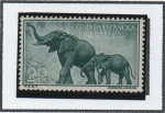 Stamps : Europe : Spain :  Loxodonta Africana