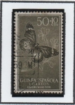 Stamps : Europe : Spain :  danaus chysippus