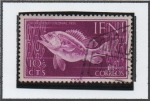 Stamps : Europe : Spain :  Epinephelus