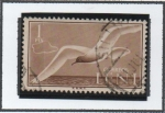 Stamps Spain -  Larus  Melanocephlus