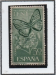 Stamps : Europe : Spain :  Anthocharis eupheno