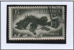 Stamps Spain -  Cabracho
