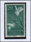Stamps Spain -  OAntirrhinun ramosi