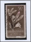 Stamps Spain -  Sesuvium portulacas