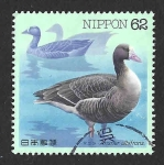 Stamps Japan -  2193 - Ánsar Careto