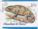 Stamps : Africa : Guinea :  Camaleón 