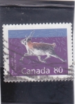 Stamps Canada -  cervido