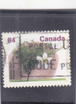 Stamps : America : Canada :  FLORES