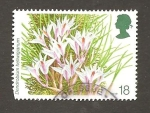 Stamps United Kingdom -  INTERCAMBIO