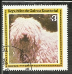 Stamps Equatorial Guinea -  Komodor