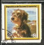 Stamps Equatorial Guinea -  Wirehaired Dachshund