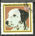 Stamps Equatorial Guinea -  Dalmatian