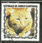 Stamps Equatorial Guinea -  Short-haired Tabby