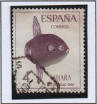 Stamps : Europe : Spain :  Pez Luna