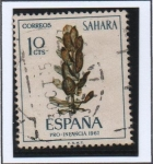 Sellos del Mundo : Europa : Espaa : Ficus sp