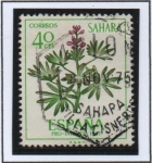 Stamps : Europe : Spain :  Lipinus sp