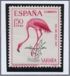 Stamps : Europe : Spain :  Flamenco rosado