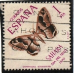 Stamps Spain -  Grammodes