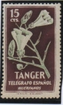Stamps : Europe : Spain :  Flores