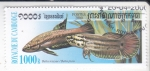 Stamps : Asia : Cambodia :  peces