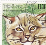 Stamps : Asia : Laos :  gato