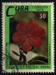 Stamps Cuba -  serie- Flores silvestres