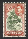 Stamps Sri Lanka -  292 - Palmas de Coco