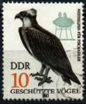 Stamps Germany -  Protección aves rapaces