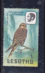 Stamps : Africa : Lesotho :  AVE- alcón 