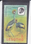 Stamps Africa - Lesotho -  Grulla Coronada