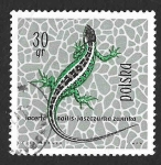 Sellos de Europa - Polonia -  1134 - Reptiles y Anfibios Protegidos