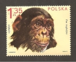 Stamps Poland -  INTERCAMBIO