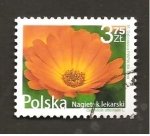 Stamps Poland -  INTERCAMBIO