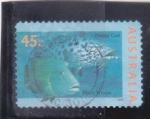 Stamps Australia -  PECES- POTATO COD Y MAORI WRASSE