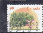 Stamps Canada -  ARBOLES 