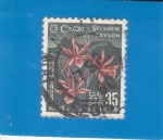 Stamps : Asia : Sri_Lanka :  FLORES