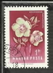 Stamps Hungary -  Helleborus