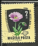 Stamps Hungary -  Papaver somniferus