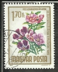 Stamps : Europe : Hungary :  Felszabadulasunh