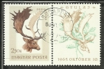 Stamps Hungary -  Dama Dama