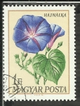 Stamps Hungary -  Hajnalka