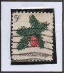 Stamps United States -  Ramita d' Conifer