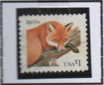 Stamps United States -  Zorro Rojo