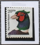 Stamps United States -  Faisán d' Neckad
