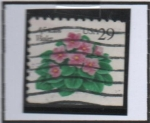 Stamps United States -  Violetas