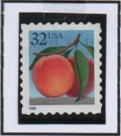 Stamps United States -  Molocotones