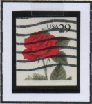 Stamps United States -  Rosa