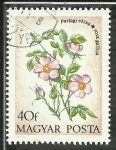 Stamps Hungary -  Ros Gallica